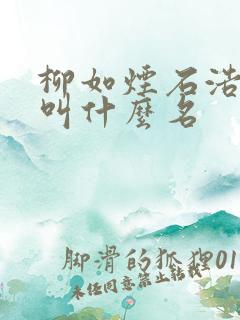 柳如烟石浩小说叫什么名