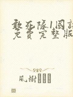 敢死队1国语版免费完整版