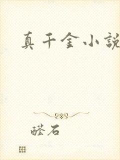 真千金小说