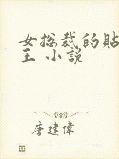 女总裁的贴身兵王 小说