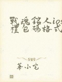 战魂铭人ios礼包码格式错误