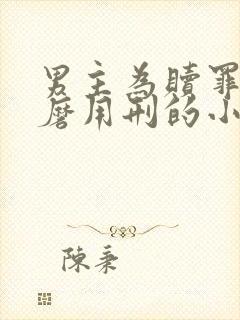 男主为赎罪任折磨用刑的小说