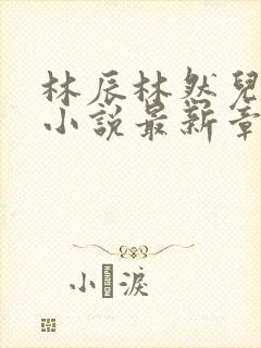 林辰林然儿穿越小说最新章节