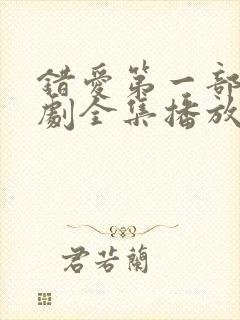 错爱第一部电视剧全集播放免费观看