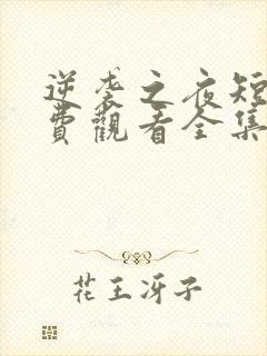 逆袭之夜短剧免费观看全集高清