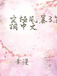 究极风暴3怎么调中文