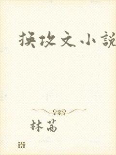 换攻文小说推荐