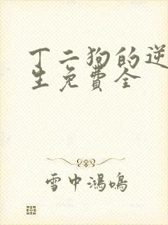 丁二狗的逆袭人生免费全