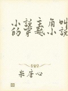 小说主角叫金峰的穿越小说