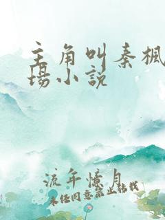 主角叫秦枫的官场小说