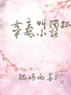 女主叫独孤月的穿越小说