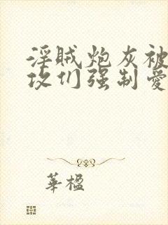 淫贼炮灰被主角攻们强制爱了小说