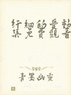 纤细的爱动漫全集免费观看