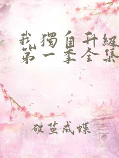 我独自升级动漫第一季全集免费观看