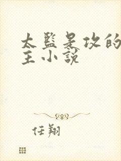 太监是攻的双男主小说