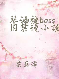 琴酒被boss囚禁后小说免费听