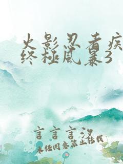 火影忍者疾风传终极风暴3