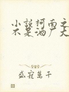 小说柯南之我真不是酒厂大佬txt