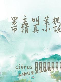 男主叫叶枫的都市修真小说