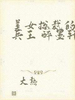 美女总裁的贴身兵王 醉墨轩