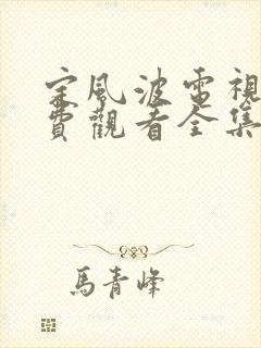 定风波电视剧免费观看全集高清31