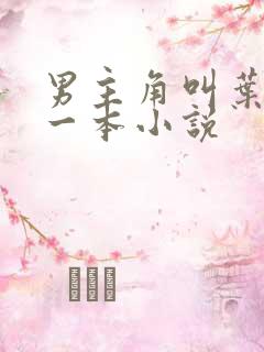 男主角叫叶凡的一本小说