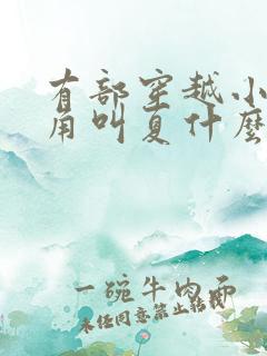 有部穿越小说主角叫夏什么