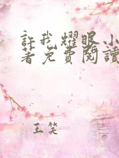 许我耀眼小说原著免费阅读