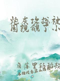 炮灰攻总被主角团觊觎了小说