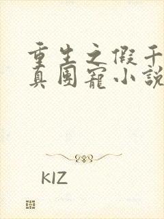 重生之假千金是真团宠小说免费