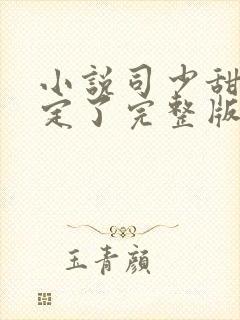 小说司少甜妻宠定了完整版