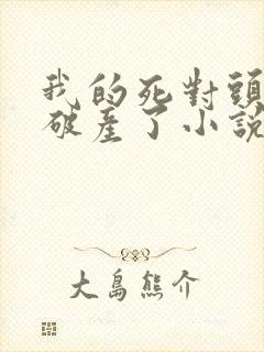 我的死对头终于破产了小说