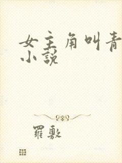 女主角叫青鸢的小说