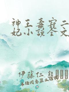 神王毒宠二嫁王妃小说全文免费