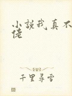 小说我真不是大佬