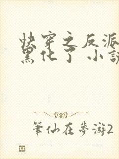 快穿之反派终于黑化了 小说