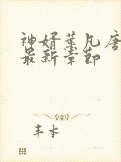 神婿叶凡唐若雪最新章节