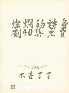 灿烂的转身电视剧40集免费观看