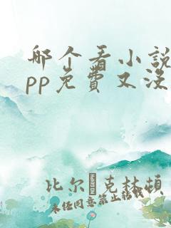 哪个看小说的app免费又没广告