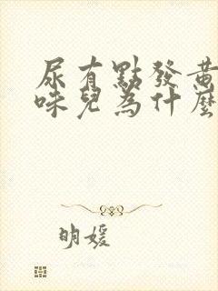 尿有点发黄还有味儿为什么