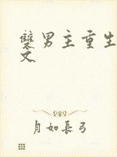 双男主重生年代文