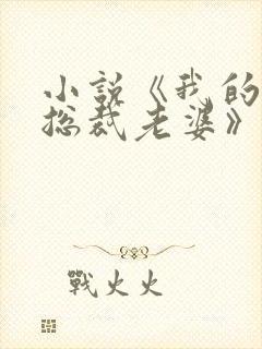 小说《我的冷艳总裁老婆》