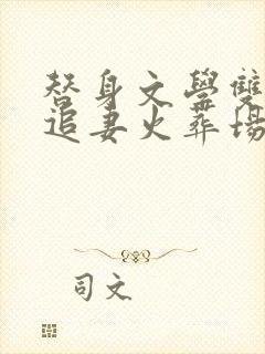 替身文学双男主追妻火葬场推荐