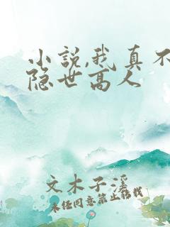 小说,我真不是隐世高人