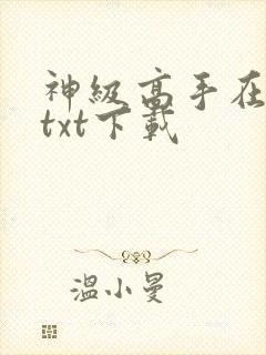 神级高手在都市txt下载