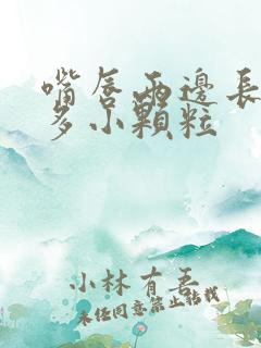 嘴唇两边长了很多小颗粒