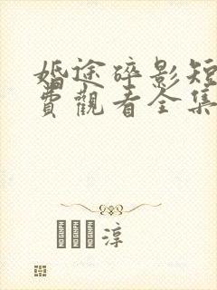 婚途碎影短剧免费观看全集