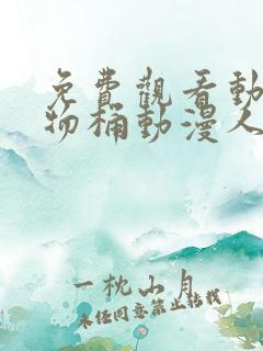 免费观看动漫人物桶动漫人物游戏