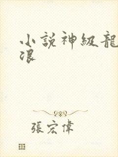 小说神级龙卫沈浪