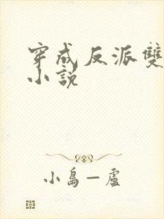 穿成反派双男主小说